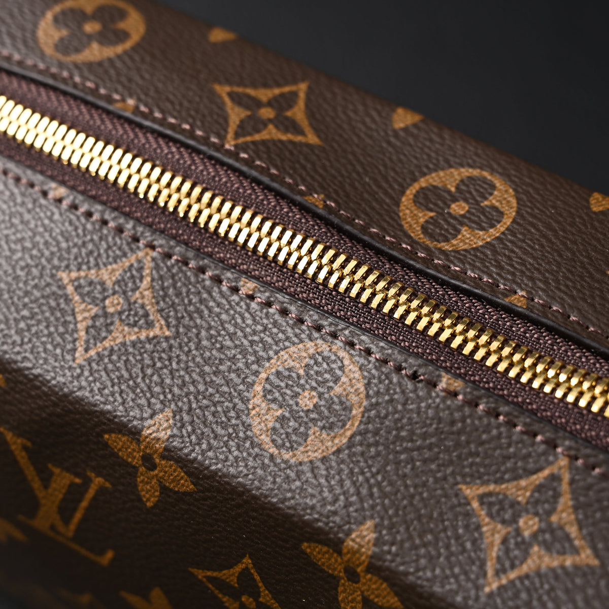 Louis Vuitton Cannes Trunk Bag – Monogram Canvas with Gold-Tone Hardware