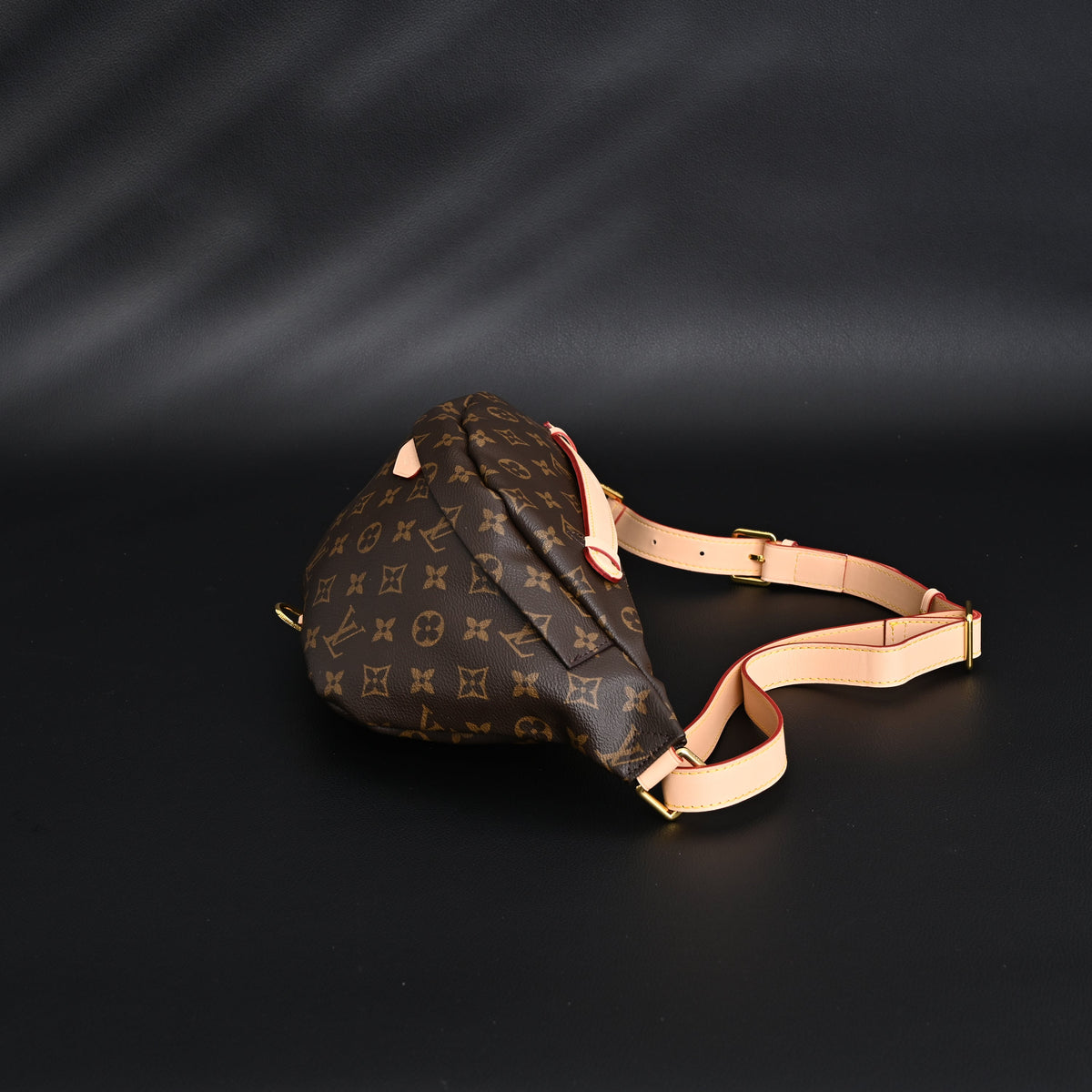 Louis Vuitton Bumbag – Monogram Canvas Waist & Crossbody Bag